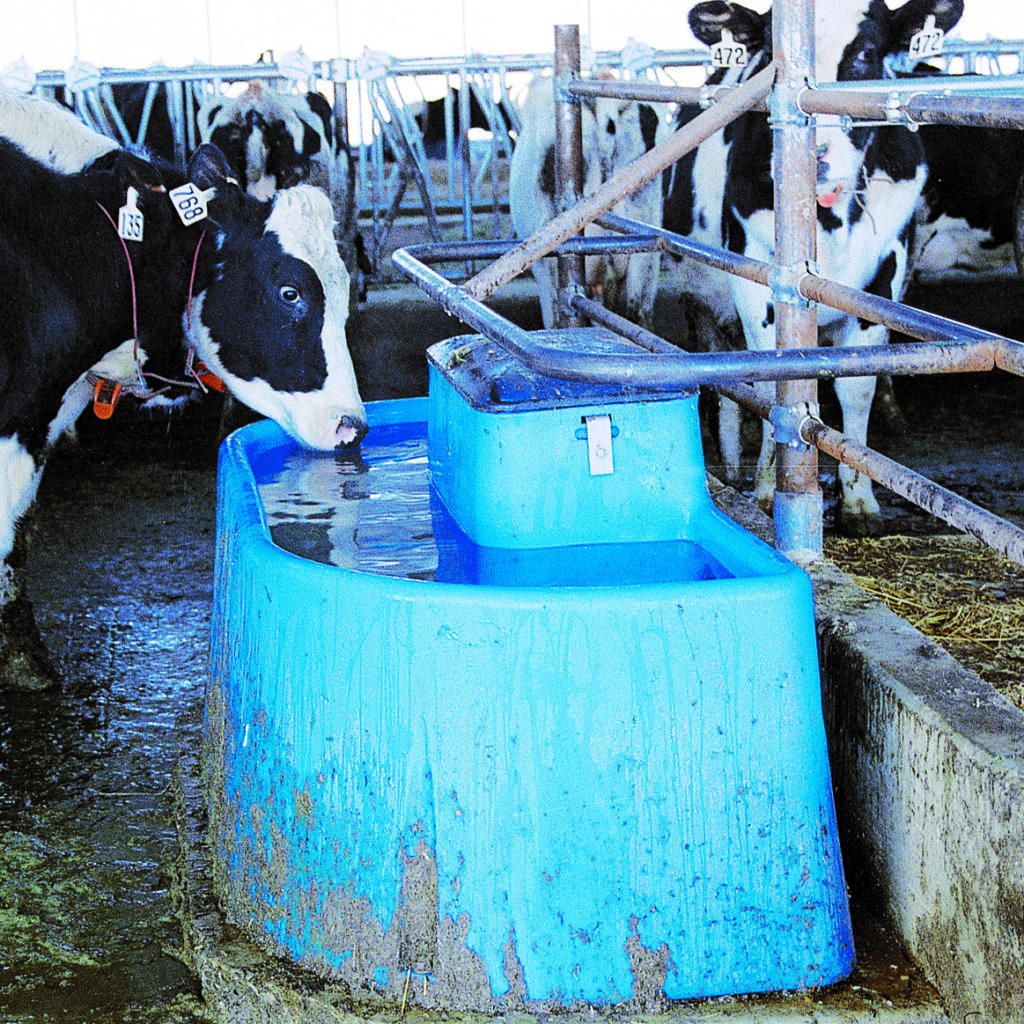 MiraFount 3465 Badger Livestock Equipment, LLC