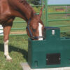 LilSpring 2900 - Image 2